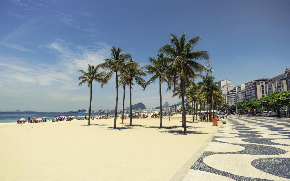 Palmen am Copacabana Strand in Rio de Janeiro