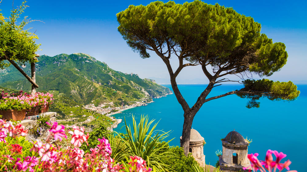 Italien, Kampanien, die Amalfiküste mit Blüten und Baum im Vordergrund, dahinter das Meer und die Küste.