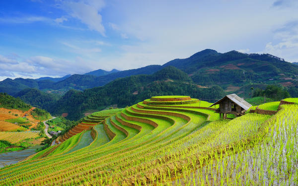 Travel insurance confirmation for Visa