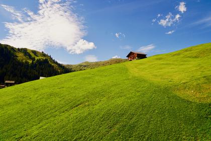 Mountain hut on a green meadow