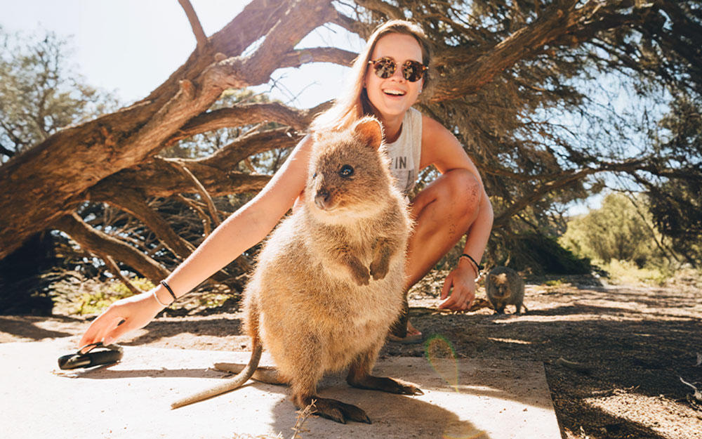 Mädchen spielt mit Quokka auf der Insel Rottnest Island in der Nähe von Perth, Australien 